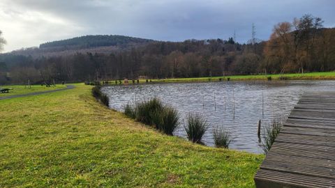 A quiet pond surrounded by green grass and trees. In the background, gentle hills can be seen.