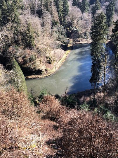 Ein ruhiger Fluss windet sich durch einen Wald mit kahlen Bäumen. Die Ufer sind von grünen Pflanzen umgeben, während die Wasseroberfläche die Umgebung spiegelt.