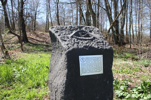 Een zwarte rots in het bos met een gegraveerde oogsymboliek. Naast de rots staat een informatieschild.