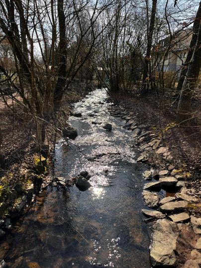 A quiet stream flows between trees and stones. The sun reflects in the water, creating a peaceful atmosphere.