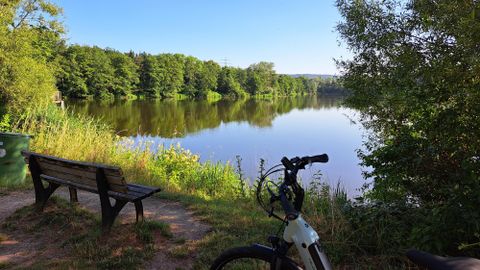 Ein ruhiger See umgeben von Bäumen und üppigem Grün. Im Vordergrund steht eine Bank und ein Fahrrad.