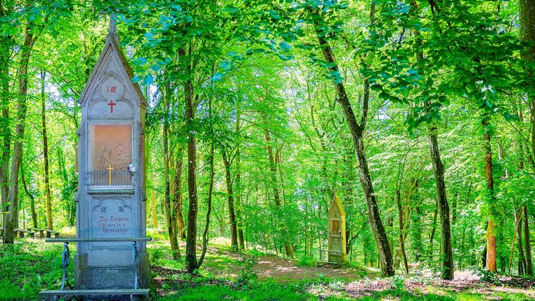 Ein alter, hölzerner Pavillon steht in einem grünen Wald. Die Bäume um ihn herum sind dicht und leuchten im Licht der Sonne.