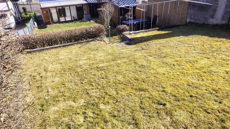 Ein gepflegter Garten mit grünem Rasen und einem Blick auf einige Häuser. Im Hintergrund sind Bäume und ein Zaun zu sehen.