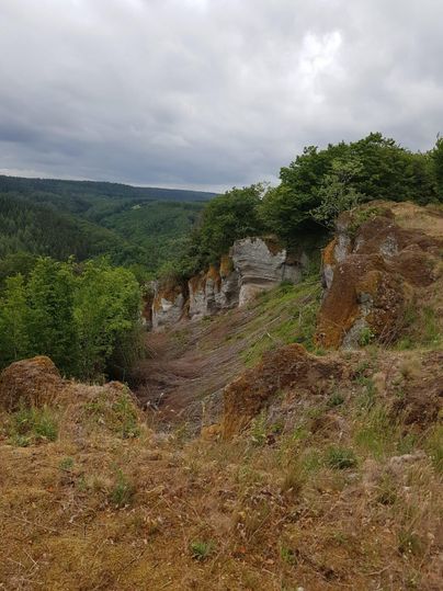 Een schilderachtig landschap met rotsen en bomen. De lucht is bewolkt en toont een groene bos op de achtergrond.