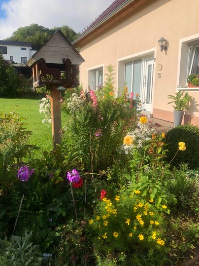 Ein blühender Garten mit bunten Blumen und einem Vogelhaus. Im Hintergrund ist ein Wohnhaus und ein grüner Rasen zu sehen.