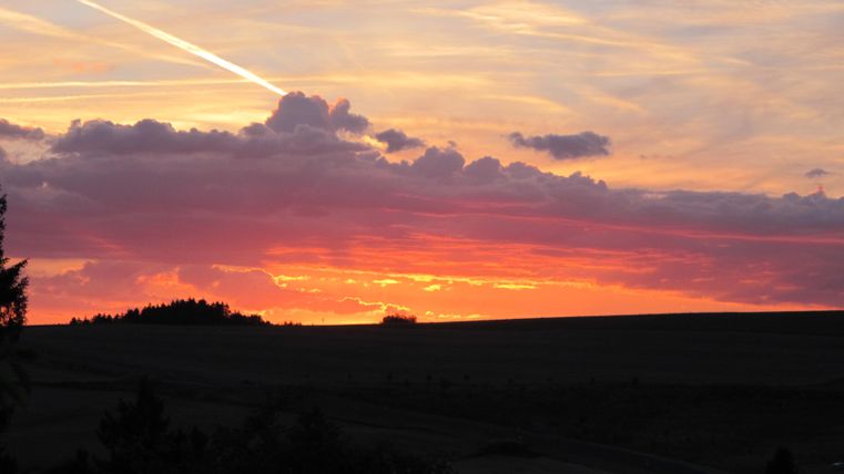 Ein schöner Sonnenuntergang mit orange-rot gefärbtem Himmel und dunklen Silhouetten von Bäumen im Vordergrund. Die Wolken sind verstreut und bilden eine malerische Aussicht.