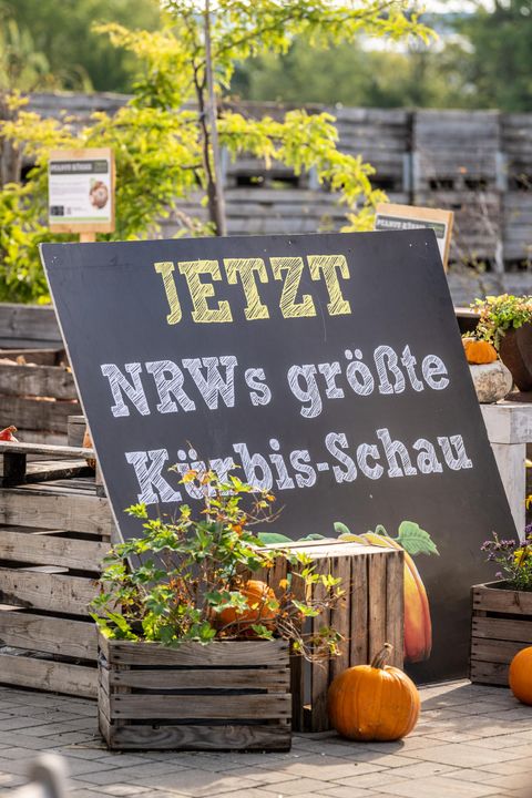 Advertentiebord voor de pompoenen tentoonstelling in de entree van de Krewelshof