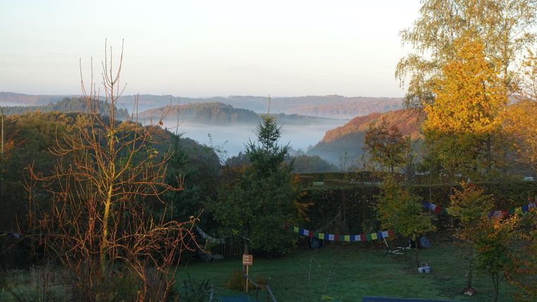 A peaceful landscape with gentle hills and morning fog. The trees are illuminated in the soft light of the rising sun.