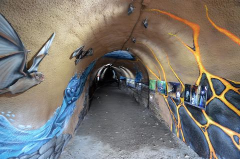 Ein kreativer Tunnel mit lebhaften Wandmalereien von Fledermäusen und Wasser. An den Wänden sind Fotos ausgestellt, die die Umgebung ergänzen.