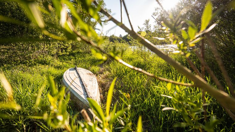 Ein altes Boot liegt im hohen Gras, umgeben von Sonnenlicht und grünen Pflanzen. Die Szenerie vermittelt eine ruhige, naturnahe Atmosphäre.