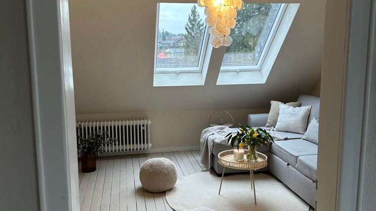 Een lichte, moderne woonruimte met vensters in het dak. De ruimte is ingericht met een gezellige bank, een tafel en decoratieve planten.