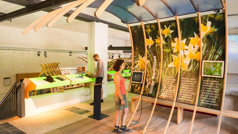 Ein moderner Ausstellungsraum mit informativen Tafeln und interaktiven Elementen. Besucher erkunden die Ausstellung und lernen über verschiedene Themen.