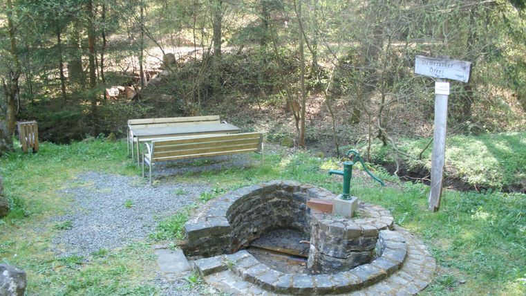 Eine gemütliche Sitzbank in einem Waldgebiet neben einem Brunnen. Umgeben von Bäumen und grünem Gras.