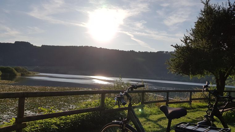 Een rustige vijver met zonlicht dat over het water straalt. Een fiets staat op de weg, omringd door groene vegetatie en een prachtig uitzicht.