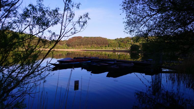 Een rustige meer met boten aan de oever en omliggende bomen. Het wateroppervlak weerspiegelt het landschap en zorgt voor een vredige sfeer.