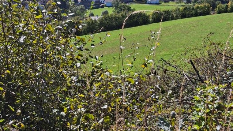 Eine malerische Landschaft mit grünen Feldern und kleinen Dörfern. Der Himmel ist blau und klar.