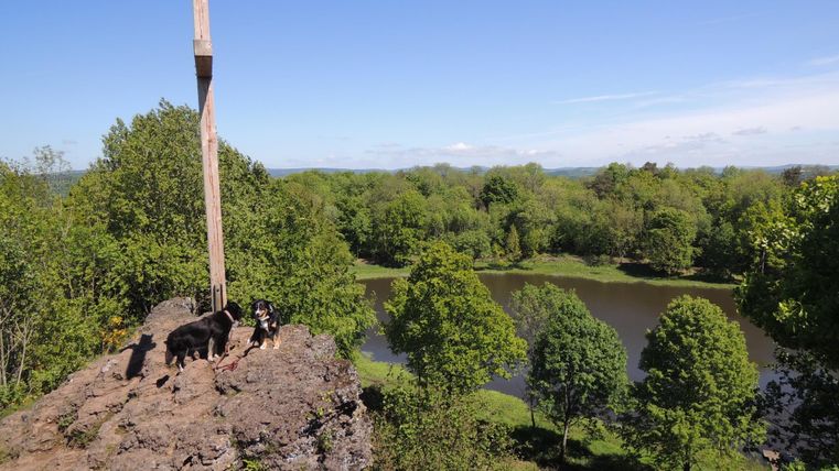 A dog stands on a rock with a wooden cross. In the background, trees and a calm river can be seen.
