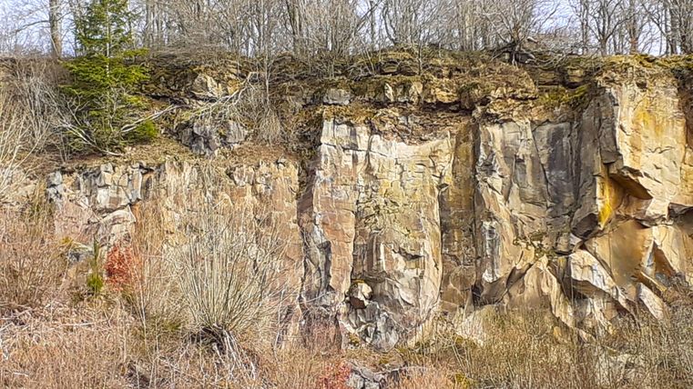 Basalt quarry at Rockeskyller Kopf with steep rock walls, surrounded by bare trees and shrubs in the foreground.