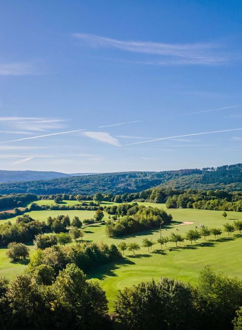 Een uitgestrekt, groen landschap met glooiende heuvels en bomen. De lucht is helder en blauw, met enkele wolken.