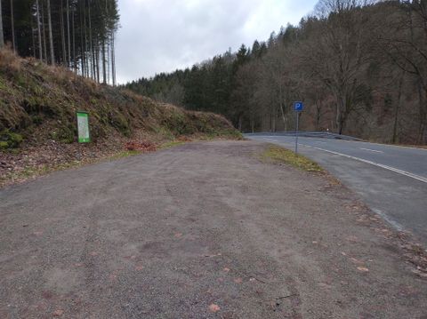 Ein ruhiger Parkplatz in der Nähe einer Straße, umgeben von Bäumen. Die Landschaft ist natürlich und unberührt.