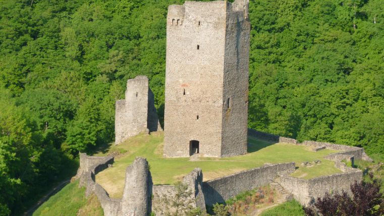 Eine alte Burg mit einem hohen Turm, umgeben von grünen Bäumen. Die Ruinen sind gut erhalten und geben einen Eindruck von vergangener Geschichte.