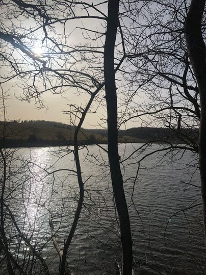 A calm lake, surrounded by bare trees. The sun reflects on the surface of the water.