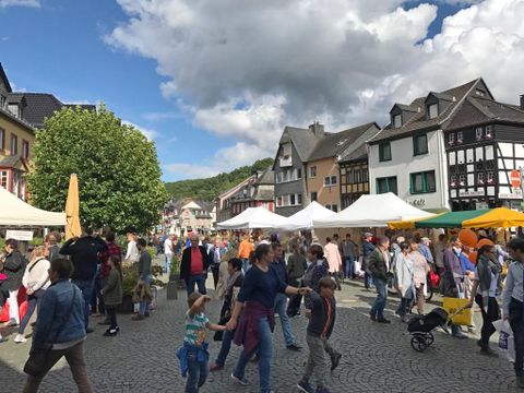 Een levendige markt met veel mensen en kleurrijke kraampjes. Omgeven door historische gebouwen en een heldere lucht.