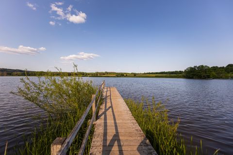 Een houten loopbrug leidt over een rustig meer, omringd door groen gras en bomen. De lucht is helder met enkele wolken.