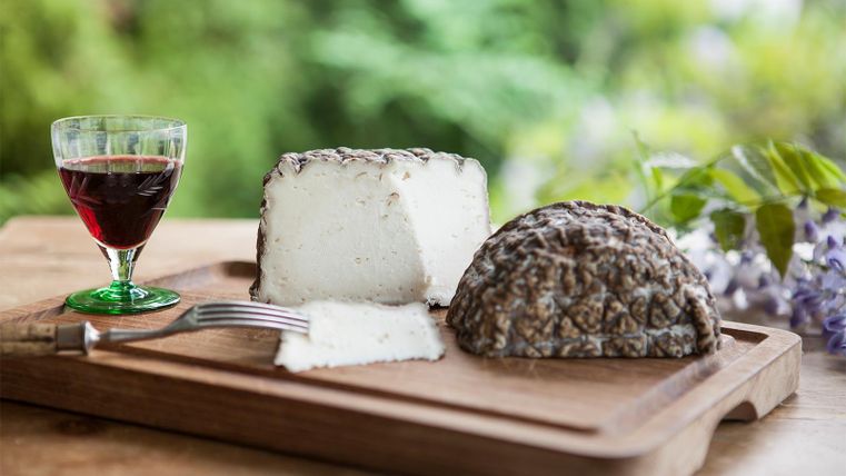 Ein Holzbrett mit zwei Käsesorten und einem Glas Rotwein. Im Hintergrund sind grüne Pflanzen zu sehen.