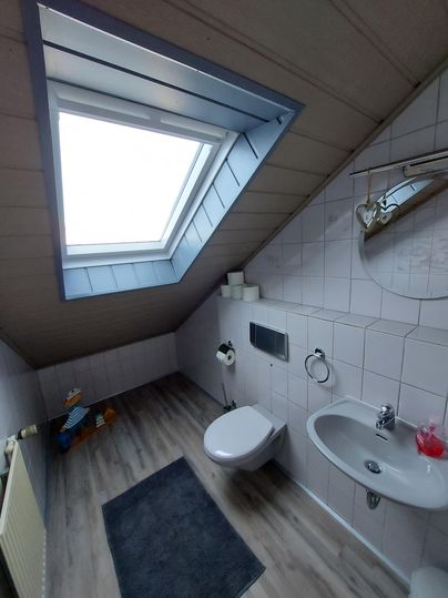 A bright bathroom with a skylight and modern sanitary facilities. The walls are tiled and the floor has a wood look finish.