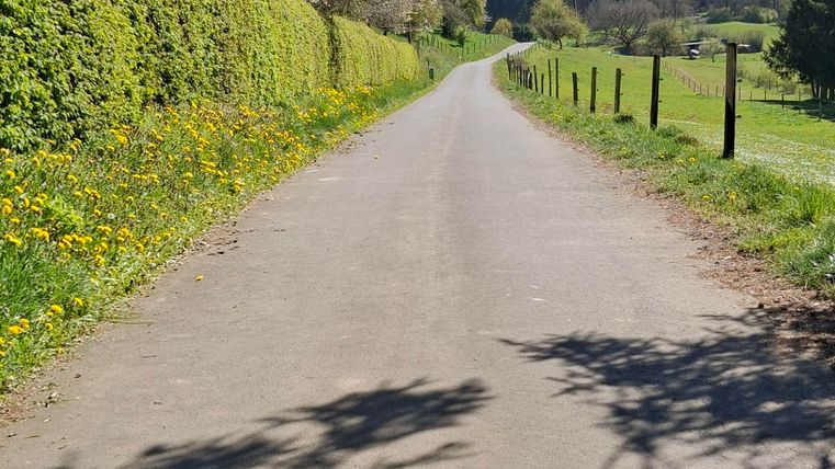 Ein ruhiger Weg, gesäumt von grünen Hecken und blühenden Bäumen. Der Himmel ist klar und blau, perfekt für einen Spaziergang.
