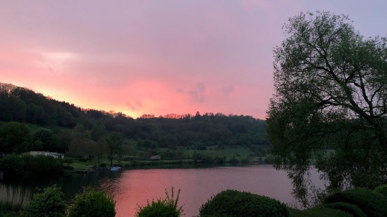 A tranquil lake at sunset with soft colors in the sky. Lush green spaces and trees surround the water.