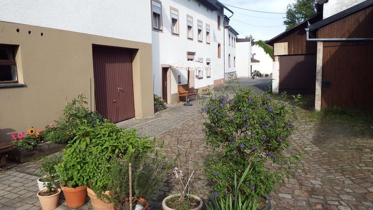 A quiet courtyard driveway with paved ground and various potted plants. In the background, old buildings and a clear sky can be seen.