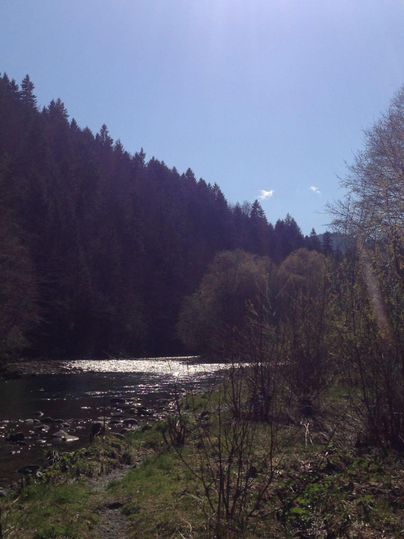 Ein ruhiger Fluss mit glitzerndem Wasser, umgeben von grünen Bäumen und Bergen. Der Himmel ist klar und sonnig.