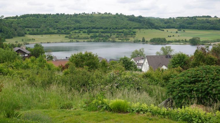A picturesque landscape with a lake, surrounded by hills and trees. In the foreground, there are green meadows and some houses.