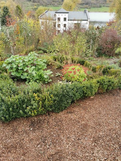 Ein Garten mit verschiedenen Pflanzen und Gemüsebeeten. Im Hintergrund ist ein Haus sichtbar.