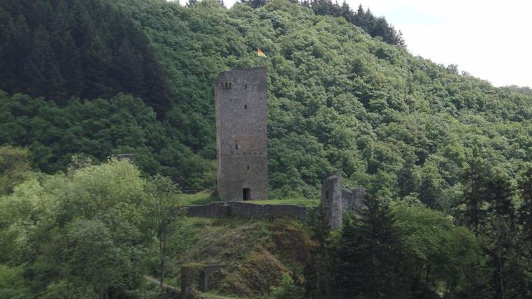 Eine alte Burgruine steht auf einem bewaldeten Hügel. Im Hintergrund sind grüne Bäume und ein klarer Himmel sichtbar.
