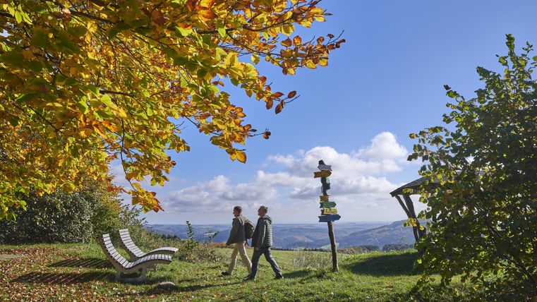 Twee personen wandelen op een wandelpad in een pittoresk landschap. De bomen tonen felle herfstkleuren en op de achtergrond zijn zachte heuvels te zien.