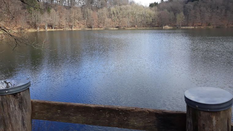 A calm lake surrounded by trees. The surface of the water reflects the clear sky.
