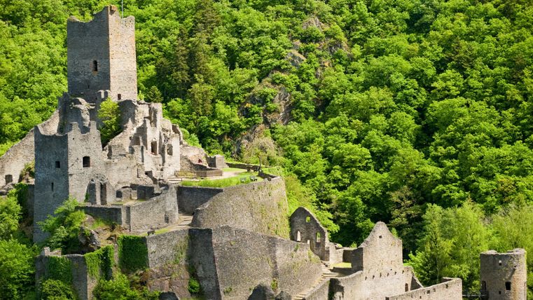 Ruinen der Niederburg Manderscheid umgeben von grünen Wäldern.