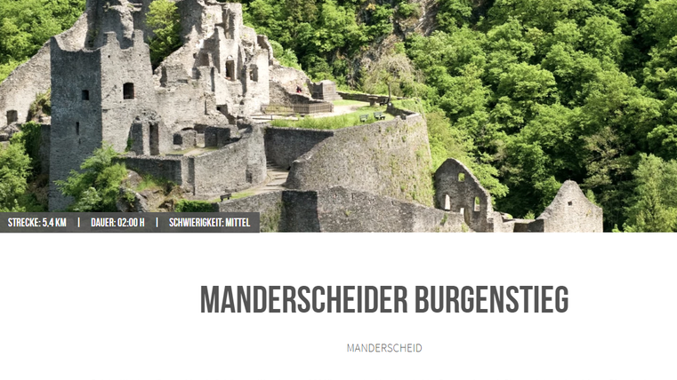 Een oude kasteelruïne verheft zich op een groene heuvel. Omgeven door dichte bomen en een pittoresk landschap.