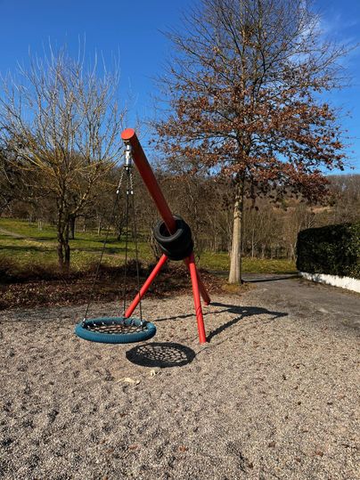 A swing situation on a playground with a large, round tire. In the background, trees and a clear blue sky can be seen.
