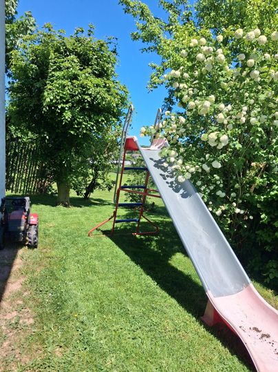 A slide is located in a green garden, surrounded by trees and colorful flowers. The sky is clear and blue.