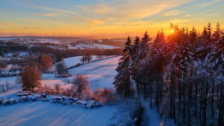 Eine winterliche Landschaft mit schneebedeckten Feldern und hohen Bäumen. Im Hintergrund leuchtet die Abendsonne am Himmel.