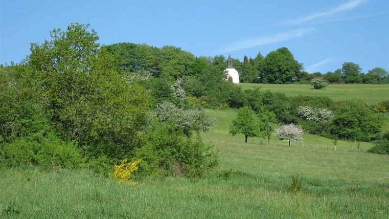 Eine grüne Landschaft mit Bäumen und bunten Pflanzen. Im Hintergrund steht ein kleines, weißes Haus.
