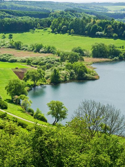 A picturesque landscape with a tranquil lake, surrounded by lush greenery. The gentle hills and trees create a peaceful atmosphere.