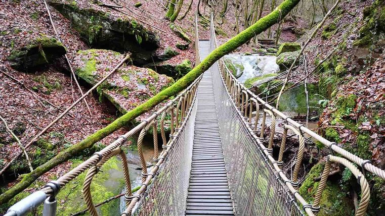 Een hangbrug loopt over een kleine beek in een bosrijk gebied. De grond is bedekt met gevallen bladeren en mos groeit op de rotsen.