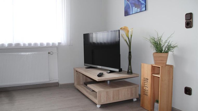 A modern living room with a television on a wooden shelf. A plant is in a flower pot next to the shelf.