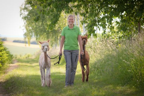 Een vrouw leidt twee kleine pony's langs een groene weg. De omgeving is zonnig en omzoomd door bomen.