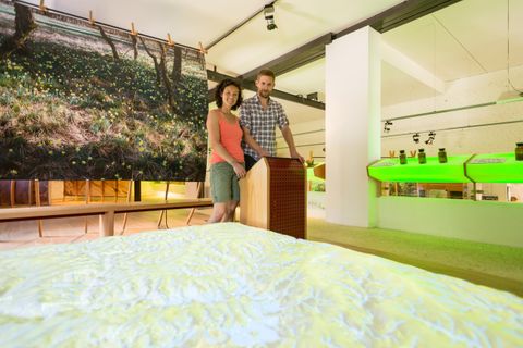 Ein Paar steht in einem modernen Ausstellungsraum, umgeben von interaktiven Displays. Im Hintergrund ist ein großes Bild einer grünen Landschaft zu sehen.